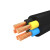 国标(CHNT)RVV电缆阻燃铜防水15/25/4/6平方电车充电桩电 五芯2.5平方（10米）
