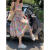 乔曼舒时尚洋气女生衣服夏天法式碎花套装女装吊带上衣夏季新款半身裙气 花朵吊带+半身裙 两件套 S