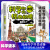 科学如此惊心动魄 数学、历史、汉字、地理、科学探险号、IT小精英全系列计24册少儿科普脑力锻炼 IT小精英-互联网大战