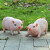 恩撒花园装饰庭院摆件创意礼品小猪模型树脂工艺品动物仿真猪摆件 趴立粉猪