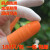防滑手指套劳保工业乳胶手套耐磨橙色白色麻点一次性乳胶橡胶防护 白色麻点指套L码(100个/包)