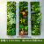 叶来叶好绿植无框立体壁挂北欧客厅植物墙餐厅绿植背景墙装饰挂件简约 套餐三