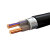 FIFAN 2芯铜电缆线硬线ZC-YJV22电压0.6/1KV铠装地埋线 2*16平方