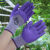 工用女士款小码手套 种花园艺搬货耐磨防割防滑透气乳胶薄款手套 12双 女士款防水防滑手套 均码