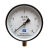 Y150杭州富阳玉春弹簧管压力表水压空气锅炉蒸汽表0-1.6/2.5/4mpa Y150 表面0 ~ 0.1mpa