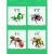 昆虫积木儿童力拼装玩具模型男孩拼插小颗粒动物螳螂拼图 海洋世界6款套餐