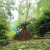 竹扫把农村老式竹丝扫帚笤帚户外庭院环卫通用大扫把扫院子 芒草扫帚长11米