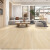 赛乐透强化复合地板家用12mm地板防腐木地板环保家装工装地板 十元三款样品 米米