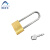 阿力牛 AQJ192 多功能加长挂锁 单位文件柜U型锁  3把钥匙 铜通开10cm(1把装)