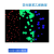 红色/绿色/黄色/蓝色聚苯乙烯荧光微球稀土铕时间分辨荧光微球 800纳米 2.5% 20毫升25mg/ml