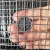 何老师304不锈钢电焊网片防鼠网钢丝围栏窗户防护焊接网筛网防盗 丝0.6mm/孔1.2cm/1X1米