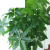 仿真发财树盆栽室内客厅落地装饰绿植假树树塑料树 1.5m辫子发财 9叶组合新散尾葵1.2M