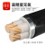 珠江电缆YJV22国标2 3 4 5芯4 6 10 25 35平方芯铠装电线 YJV22 国标3芯X16平方 1米