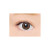 日本直邮 Angelcolor Bambi Series 日本进口日抛美瞳彩色隐形眼镜30片装 5#Milk Beige牛奶米黄色 175
