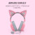 雷蛇（Razer）萌猫猫耳耳机配件V2通用猫耳配件耳机装饰品网红可爱周 萌猫猫耳配件V2(经典设计 大小升