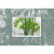 【邮天下】花卉植物系列邮票 1993年邮票 1993-7 竹子邮票 套票 四方联 大版邮票 小型张
