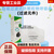 3701cn过滤棉3200防尘面具kn95防毒面罩口罩防尘防工业粉尘过滤棉 10片五层-薄款