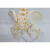 FACEMINI LT-14 自然大脊椎枕骨和（新）骨盆带股骨模型 人体脊椎模型 带股骨人体脊椎模型1个