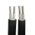 谦和（QIANHE）电线电缆YJLV22 2*10平方 铠装铝芯国标2芯户外铝缆 1米