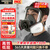 胜丽 防毒面具全面罩 防有机气体蒸汽/苯/汽油 喷漆化工厂煤矿 M6800+M6001