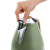 Delonghi 德龙电水壶热水壶烧水壶家用大容量KBOV2001.GR橄榄绿