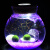 孙凯（SUNKAI）趣味植栽幸福海藻球微景观生态瓶DIY水培植物创意办公室盆栽球藻 【开阳】两颗2岁七彩灯套餐