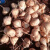 贵州新鲜现挖现发地瓜白土瓜凉薯带泥土发货沙地种植脆甜 3斤