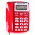 宝泰尔（BOTEL）电话机座机 固定电话 办公家用 免电池/大按键  T121红色