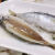 十里馋3斤养殖巴浪鱼鲜活鳀鱼新鱼巴浪鱼新鲜冷冻水产海鲜2-3条左右/斤