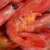 海唤熟冻北极虾 北极甜虾冰虾 即食甜虾 海鲜水产 年货送礼 海鲜礼盒 腹籽 1kg (110-130只) 袋装