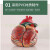 人体心脏解剖模型 5倍放大心脏模型 B超教学 彩超心内科教学模型