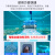 Dolphin-maytronics 海豚全自动泳池吸污机水下吸尘器M200泳池清洗机吸污机进口水龟 2X2（3002双机版）【大池专用】
