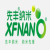 XFNANO 氨基中空介孔二氧化硅溶液（球状）XFF29-4 103608；5ml
