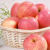 苹果红富士苹果陕西特产白水苹果白水洛川铜川红富士苹果新鲜水果 白水苹果16枚85特大约5kg礼盒