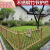 瑞力马（RUILIMA）不锈钢仿竹护栏竹篱笆户外庭院围栏菜园花园栏杆公园景区仿竹围栏