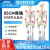 85cm人体骨骼模型骨架人体模型 成人小骷髅教学模型 脊椎全身模型 C款85CM立式骨骼带椎间盘神经