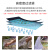 Dolphin-maytronics 海豚全自动泳池吸污机水下吸尘器M200泳池清洗机吸污机进口水龟 2X2（3002双机版）【大池专用】