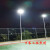 定制球场灯灯杆6米8米10米LED双头路灯高杆灯室外篮球场照明灯杆专用 4米T型灯杆+地龙