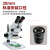 VEINLAN金相体视显微镜目镜配件广角10倍接口直径30mm 目镜 WF10X/22-1（单只）