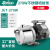 永派PUN铸铁热水循环泵空气能配套泵耐高温高扬程大流量增压泵 JET370S 非自动