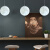 秀雷球形吊灯北欧3D打印月球吊灯现代简约儿童房餐厅卧室阳台个性家用 白色加厚直径18厘三色光