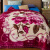 南极人拉舍尔毛毯 双层加厚保暖午睡空调被毯 单人双人婚庆礼品绒毯子 红豆沙656 加厚毛毯150*200约4斤
