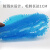 冰禹 BYyc-415 小便池芳香片过滤网 公厕除味带刺尿斗香片（单拍不发）蓝色海洋味