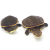 蟾头龟希拉里花面龟乌龟活物观赏龟侧颈龟深水龟歪脖子 希拉里4-5cm