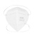 求同2098头戴式口罩 KN95防尘透气口鼻罩/防飞沫/防工业粉尘/防雾霾针织带口罩 50只/盒