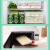 创得 饺子盒 冰箱保鲜盒收纳盒长方形冷冻水饺盒馄钝盒带盖托盘可微波炉加热 抹茶绿4层4盖