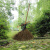 竹扫把 竹扫把农村老式竹丝扫帚笤帚户外庭院环卫通用大扫把扫院子JYH 皮扎竹丝1.4+棕绳毛