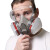 保罗岚芝防毒面具防护面罩电焊防尘毒口罩 防尘毒套装+防雾眼镜