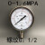 上海天湖Y-100BF不锈钢压力表真空表气压水压0-0.6 1 1.6 2.5MPA 016MPA 螺纹1/2