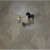 ZSTO强化复合地板12mm工程木地板家装工装封蜡锁扣地暖地板 领样品 平米